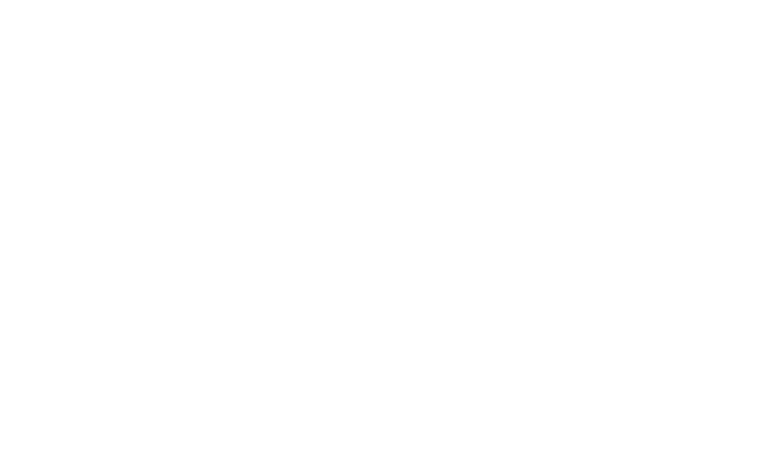 Speedy Casino logo